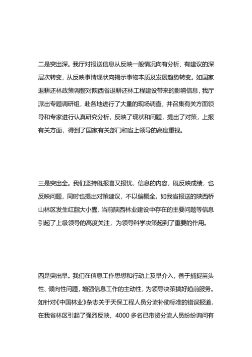 政务督查工作总结.docx