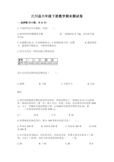 武川县六年级下册数学期末测试卷精品.docx