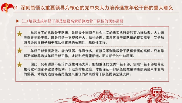 书写为中国式现代化挺膺担当的青春篇章ppt