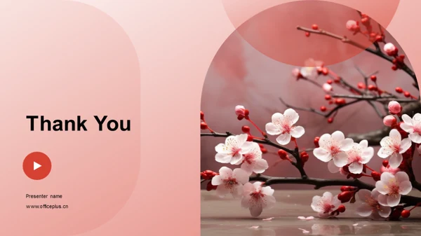 春节与教育