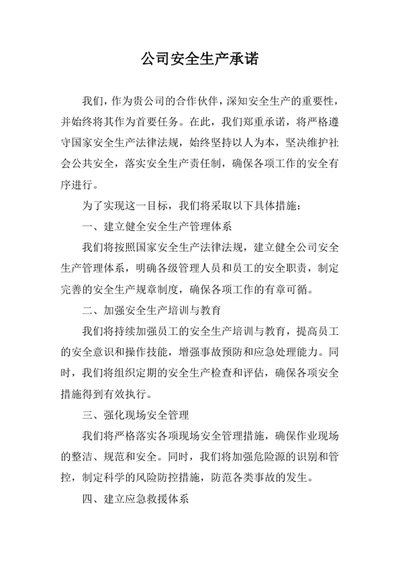 公司安全生产承诺