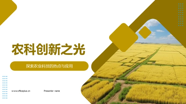 农科创新之光