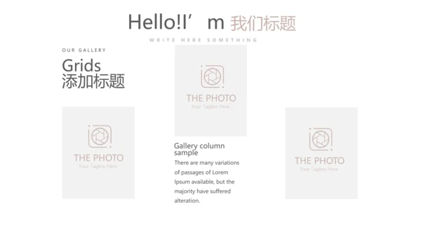 艺术感公司产品介绍宣传通用PPT动态模板