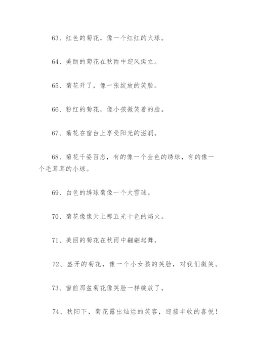 菊花比喻句 菊花比喻句摘抄113句.docx