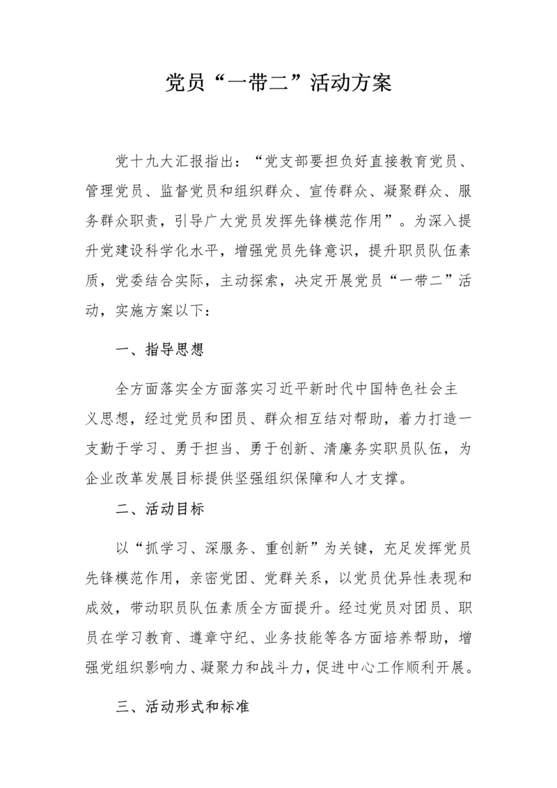 党建活动专业方案.docx