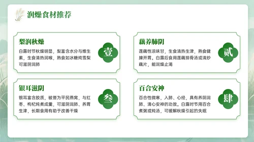 绿色中国风白露节气知识PPT模板