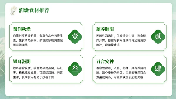 绿色中国风白露节气知识PPT模板