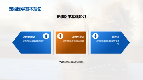 宠物医学的挑战与变革