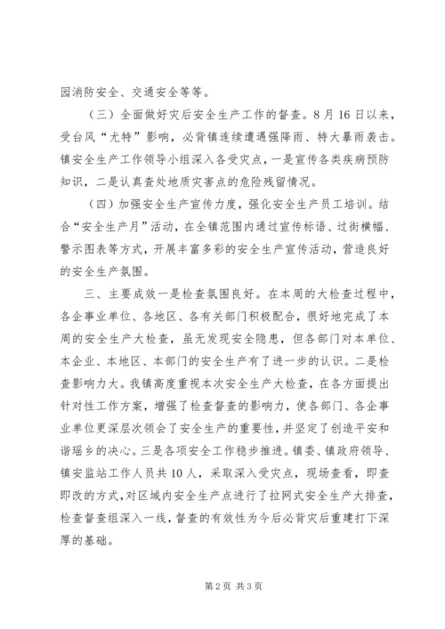 乡镇安全生产检查督查工作总结.docx