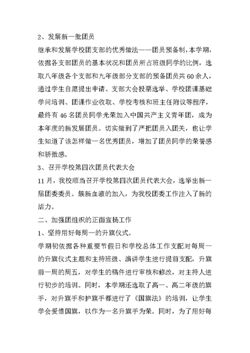 大学分团委成员述职报告