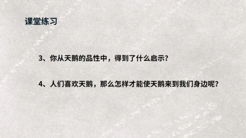 《天鹅》布丰天鹅湖通用PPT课件
