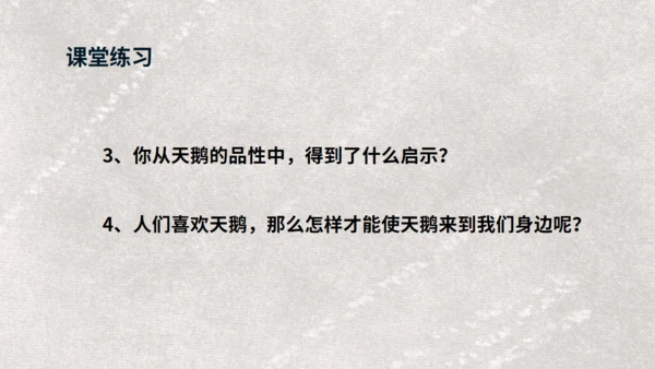 《天鹅》布丰天鹅湖通用PPT课件