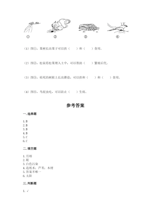教科版小学二年级上册科学期末测试卷及完整答案（夺冠系列）.docx