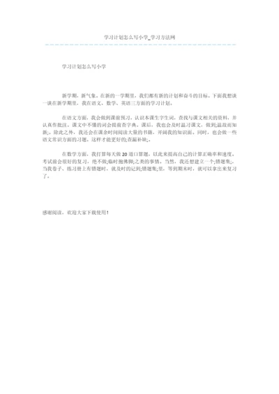 学习计划怎么写小学.docx