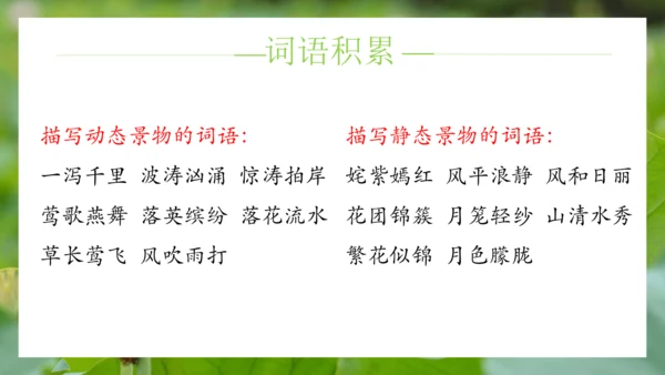 统编版语文五年级下册第七单元（课件）