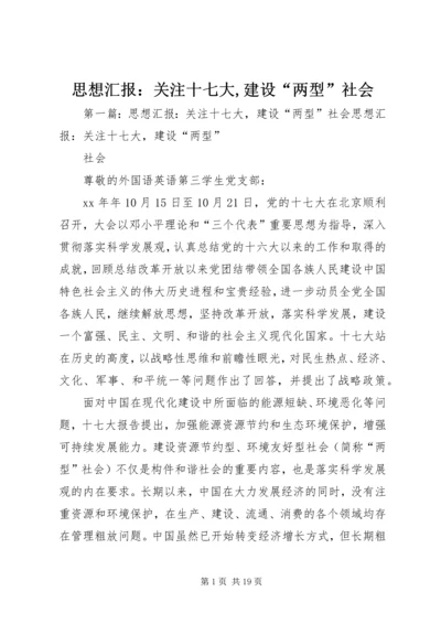思想汇报：关注十七大,建设“两型”社会.docx