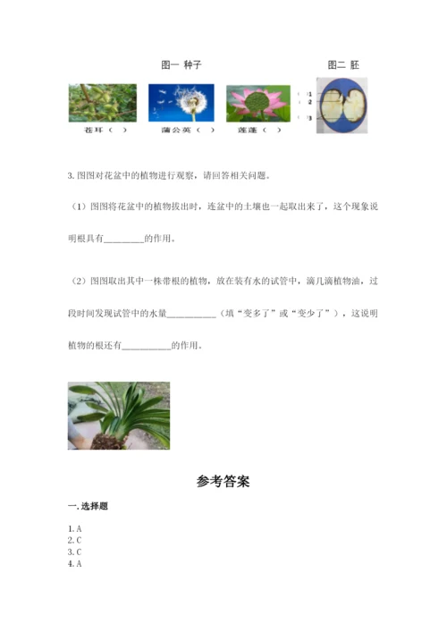 科学四年级下册第一单元《植物的生长变化》测试卷及答案（名师系列）.docx