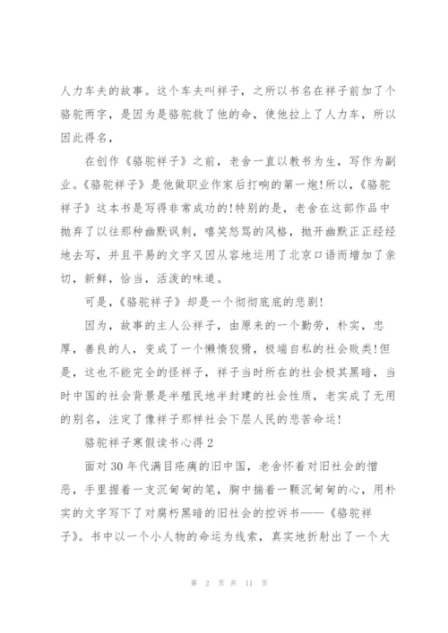 骆驼祥子小说寒假读书心得5篇.docx