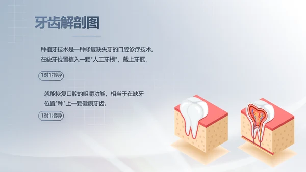 医疗牙科商业计划书务动态PPT模板