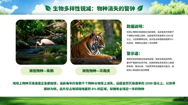 绿色小清新环境保护知识普及PPT模板