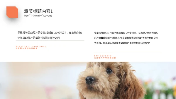 宠物乐园萌宠小狗主题通用PPT模板