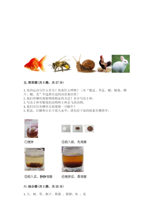 教科版一年级下册科学期末测试卷（a卷）.docx