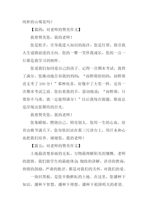 对老师的赞美作文.docx