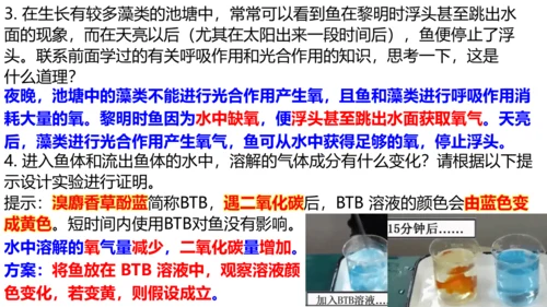 人教版生物八年级上册5.1.4《鱼》课件(共17张PPT)