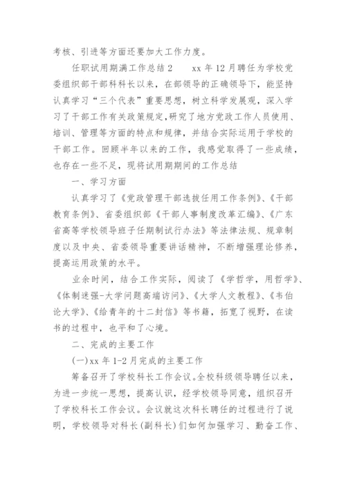 任职试用期满工作总结.docx