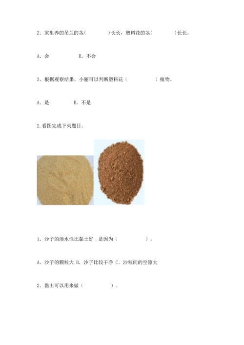 苏教版一年级下册科学期末测试卷精品（黄金题型）.docx