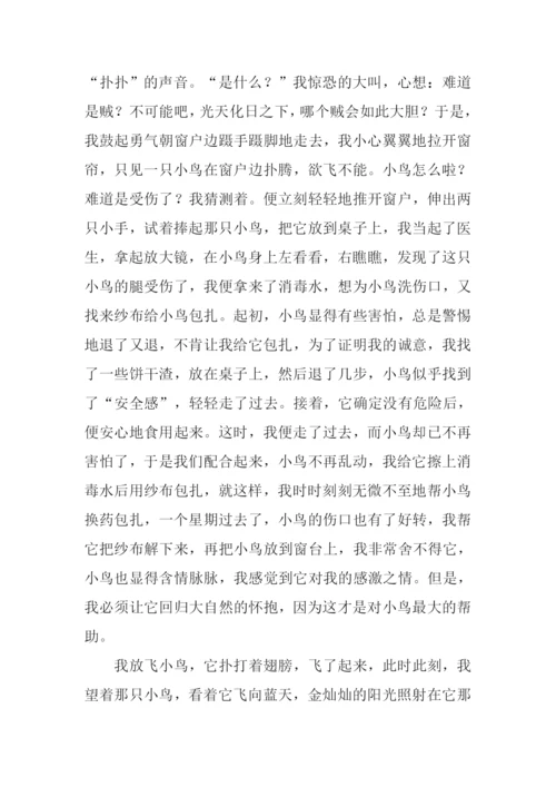 我美丽因为我什么作文.docx