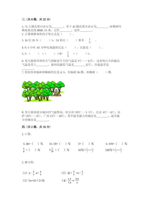 河南省平顶山市六年级下册数学期末考试试卷及参考答案（新）.docx