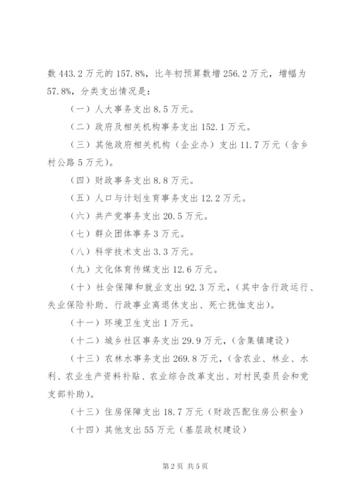 乡镇XX年财务收支情况工作报告.docx