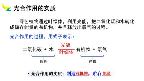 3.5.1 光合作用吸收二氧化碳释放氧气2023-2024学年七年级生物上册精品教学课件（人教版）(