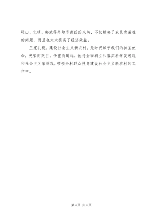 村党总支书记王宪礼同志先进事迹材料.docx
