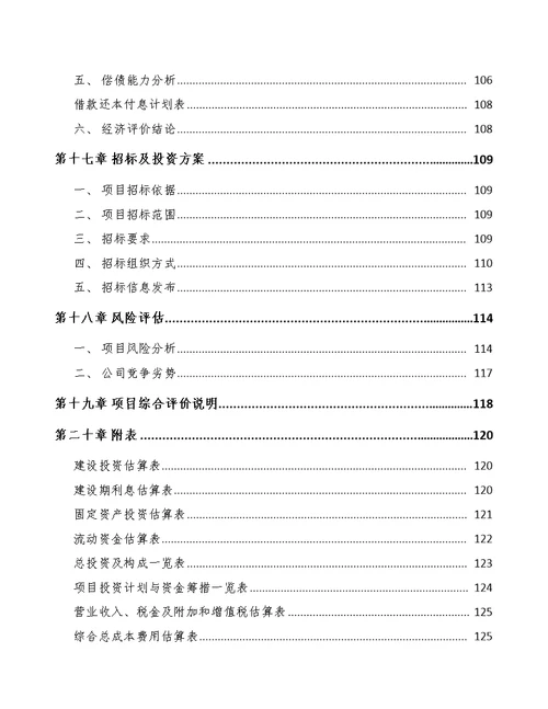 聊城零食项目可行性研究报告【范文模板】