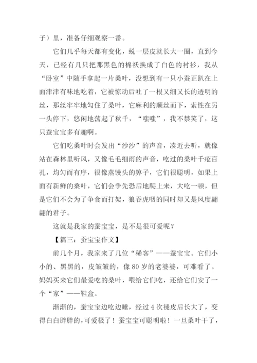 蚕宝宝的作文-1.docx