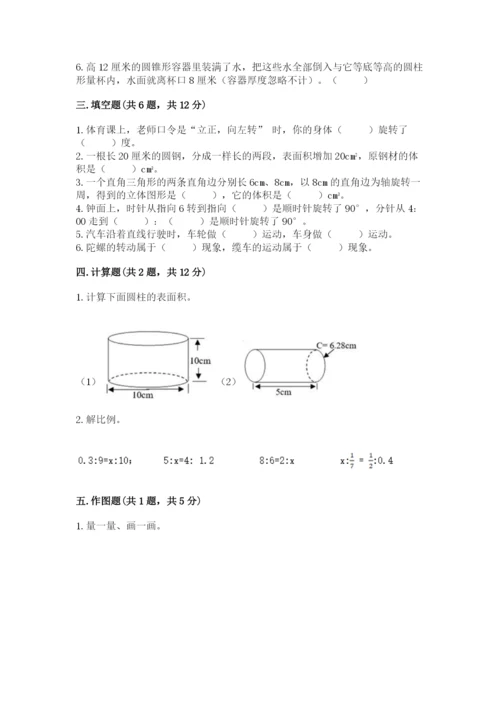 北师大版数学六年级下册期末测试卷精品【能力提升】.docx