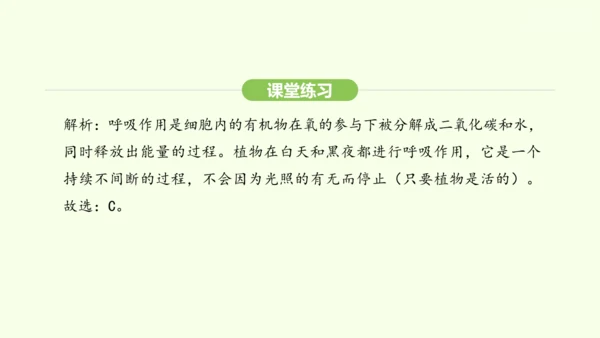 第三单元-第二章-第三节-呼吸作用课件-2024-2025学年七年级生物下学期人教版(2024)(共