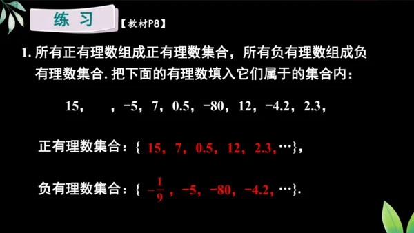 人教版数学（2024）七年级上册1.2.1 有理数的概念课件（共18张PPT）