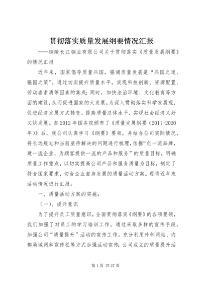 贯彻落实质量发展纲要情况汇报.docx