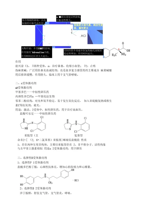 12作用于肾上腺素能受体的药物