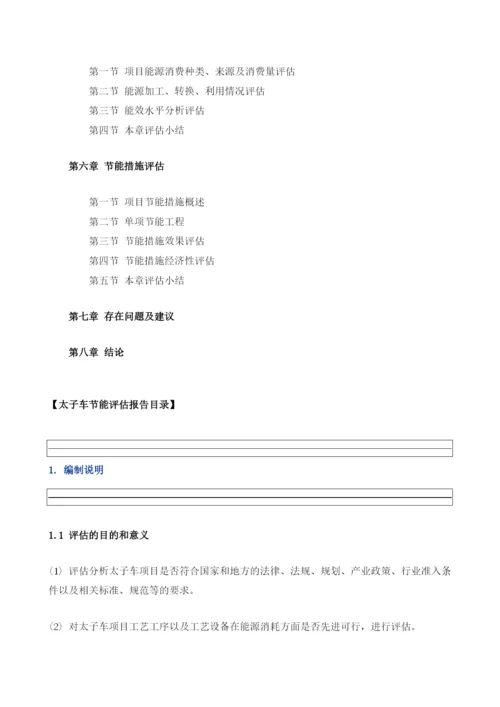 太子车项目节能评估报告模板.docx