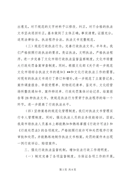 县文广新局上半年依法行政工作自查报告.docx