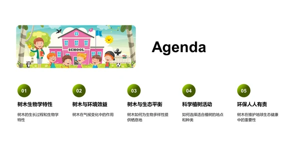 树木的生态密码