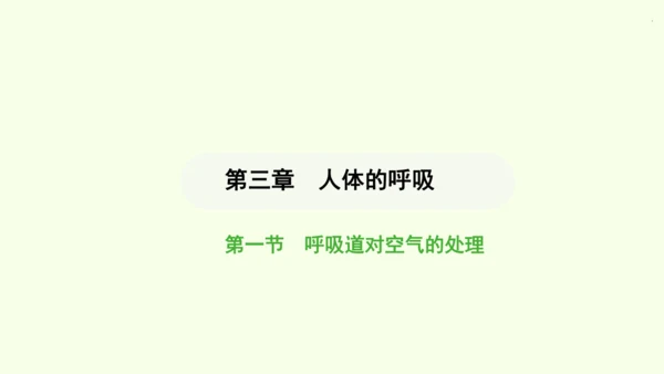 第四单元-第三章-第一节-呼吸道对空气的处理课件-2024-2025学年七年级生物下学期人教版(20