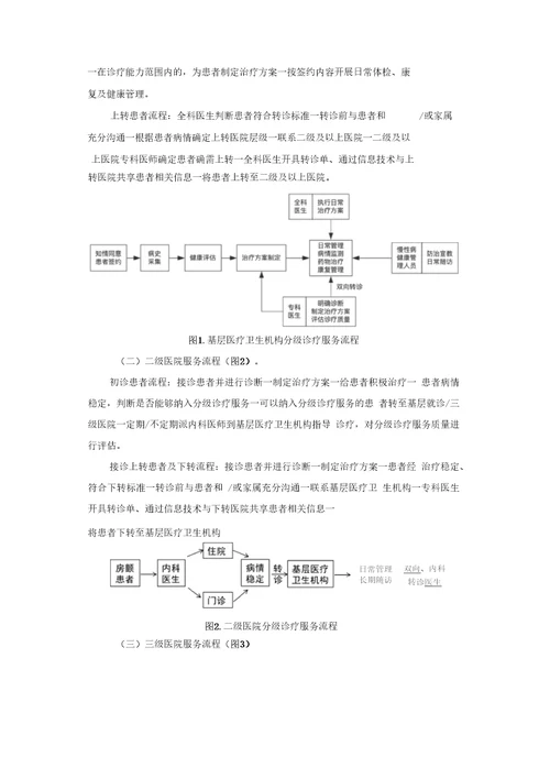 心房颤动分级诊疗技术方案