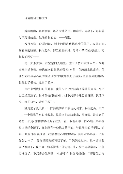 母爱的初三作文 2