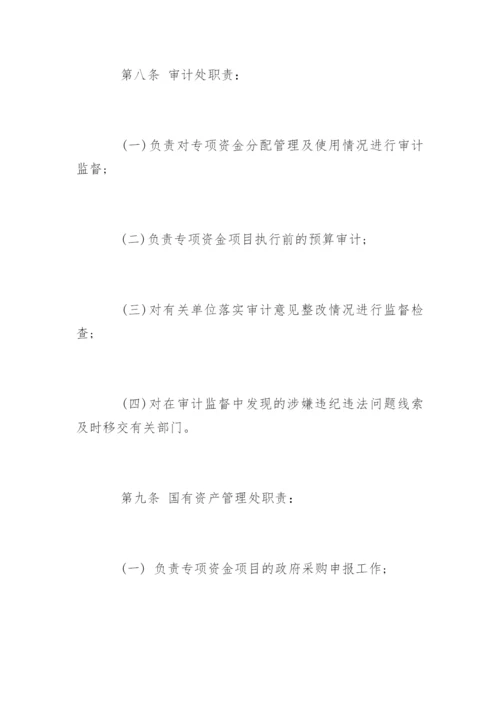 学校专项资金管理制度规定.docx