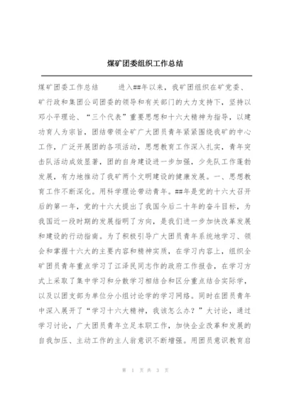 煤矿团委组织工作总结.docx